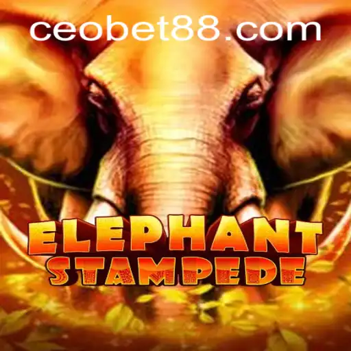 Unraveling the Thrill of ElephantStampede: A Dive into CEO.BET's Latest Gaming Sensation